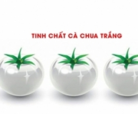 Tinh chất cà chua trắng, mệnh danh là thần dược làm trắng tự nhiên liệu có đúng?
