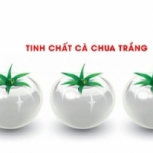 tinh-chat-ca-chua-trang-menh-danh-la-than-duoc-lam-trang-tu-nhien-lieu-co-dung